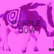 Why you need to become a Purple Cow